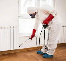 شركة مكافحة حشرات بالطائف